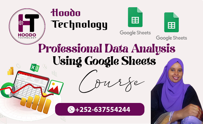 Professional Data Analysis Using Google Sheets